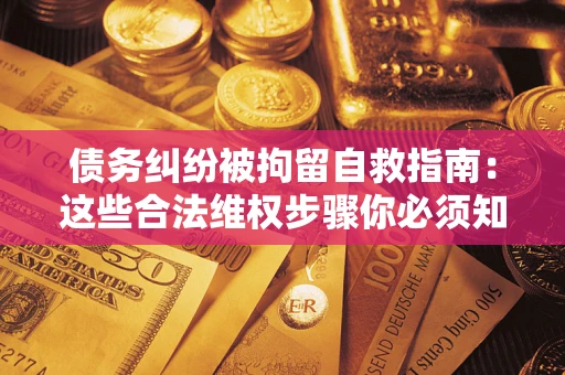 武汉债务纠纷被拘留自救指南：这些合法维权步骤你必须知道！