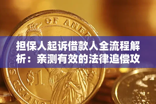 武汉担保人起诉借款人全流程解析：亲测有效的法律追偿攻略