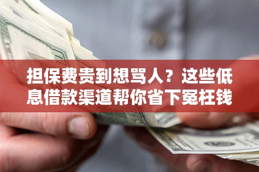 武汉担保费贵到想骂人？这些低息借款渠道帮你省下冤枉钱