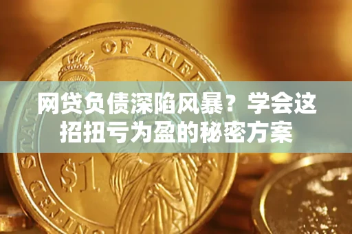 武汉网贷负债深陷风暴？学会这招扭亏为盈的秘密方案