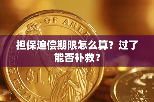 武汉担保追偿期限怎么算？过了能否补救？